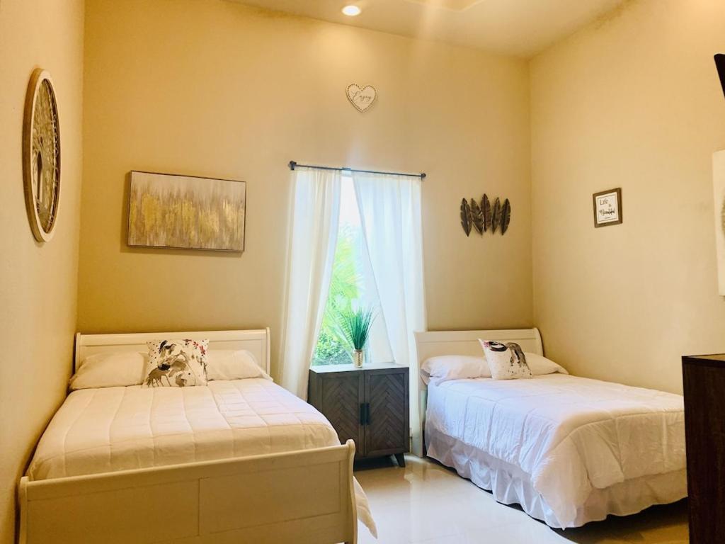 Brownsville Comfort 2 Bedroom 1 Bath , Spacious Kitchen And Outdoor Home Exterior photo